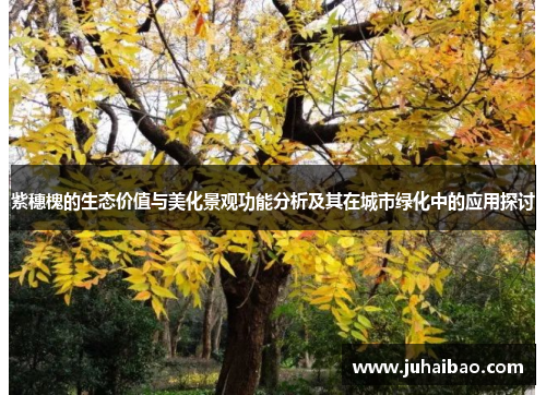 紫穗槐的生态价值与美化景观功能分析及其在城市绿化中的应用探讨 紫穗槐的生态价值与美化景观功能分析及其在城市绿化中的应用探讨
